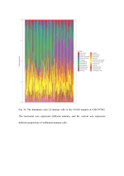 High matrix metalloproteinase-2 expression predicts poor prognosis of colon adenocarcinoma and is associated with PD-L1 expression and lymphocyte infiltration