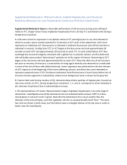 Myrka et al., 2024 Supplemental Materials 6