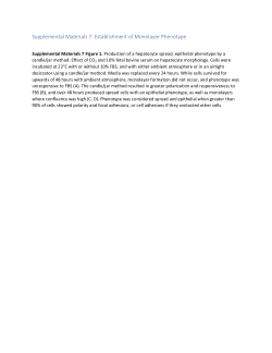 Myrka et al., 2024 Supplemental Materials 7