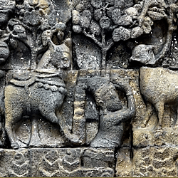 Cultural Heritage Reconstruction: Case Study Photogrammetry Relief Kijang Sarabha Borobudur - Data
