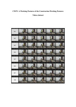 CWPV: A Working Postures of the Construction Working Postures Videos dataset