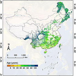 China’s annual forest age dataset at a 30-m spatial resolution from 1986 to 2022