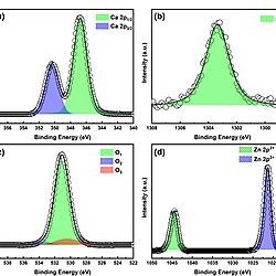 High-Efficiency Biodiesel Production Using ZnO Modified Starfish-Based Catalysts