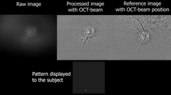 FALCO - Precise control of eye movement