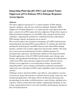 Cross-Species Hybrid Proteins: Advancing Tumor Suppression and DNA Repair with p53-SOG1 Fusion