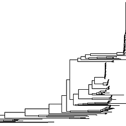 Supplementary Material for "ChiVariARIBA: A modular, editable workflow and database for characterising chitin gene variation in <i>Vibrio</i> spp. and related bacteria"