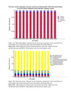 <b>Overview of the community structure and diverse functionality of the rhizo-microbiome in carrots under continuous and rotational cropping systems</b>