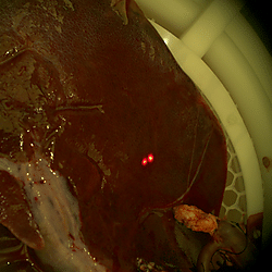 Supplementary Data 2 LSCI