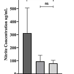 Raw data salivary microbiome using 16s barcoding kit 24 V14, ONT (Oxford Nanopore Technology)