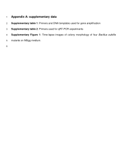 chapter3 B subtilis for pulcherrimin production