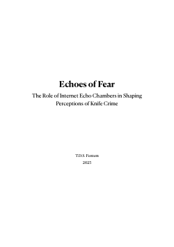 Echoes of Fear: The Role of Internet Echo Chambers in Shaping Perceptions of Knife Crime