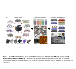Solution-Processed 2D van der Waals Networks: Fabrication Strategies, Properties, and Scalable Device Applications (Editable figures)