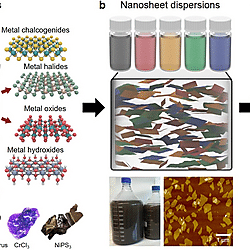 Solution-Processed 2D Materials and Their van der Waals Networks: Fabrication Strategies, Properties, and Scalable Device Applications (Figure 1)