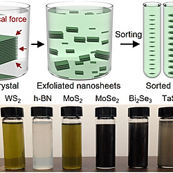 Solution-Processed 2D Materials and Their van der Waals Networks: Fabrication Strategies, Properties, and Scalable Device Applications (Figure 2)