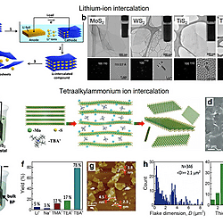 Solution-Processed 2D Materials and Their van der Waals Networks: Fabrication Strategies, Properties, and Scalable Device Applications (Figure 10)