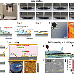 Solution-Processed 2D Materials and Their van der Waals Networks: Fabrication Strategies, Properties, and Scalable Device Applications (Figure 12)