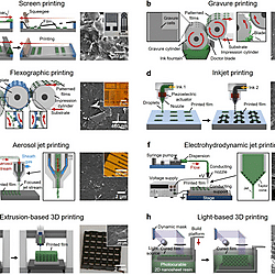 Solution-Processed 2D Materials and Their van der Waals Networks: Fabrication Strategies, Properties, and Scalable Device Applications (Figure 13)