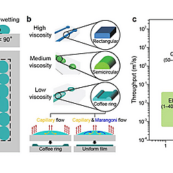 Solution-Processed 2D Materials and Their van der Waals Networks: Fabrication Strategies, Properties, and Scalable Device Applications (Figure 14)