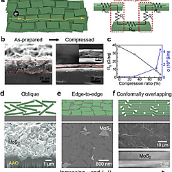 Solution-Processed 2D Materials and Their van der Waals Networks: Fabrication Strategies, Properties, and Scalable Device Applications (Figure 15)