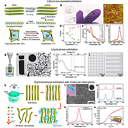 Solution-Processed 2D Materials and Their van der Waals Networks: Fabrication Strategies, Properties, and Scalable Device Applications (Figure 19)