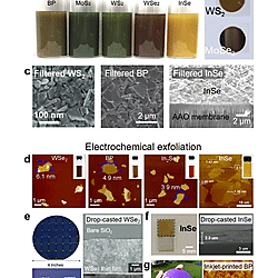 Solution-Processed 2D Materials and Their van der Waals Networks: Fabrication Strategies, Properties, and Scalable Device Applications (Figure 20)
