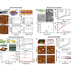Solution-Processed 2D Materials and Their van der Waals Networks: Fabrication Strategies, Properties, and Scalable Device Applications (Figure 22)