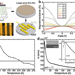 Solution-Processed 2D Materials and Their van der Waals Networks: Fabrication Strategies, Properties, and Scalable Device Applications (Figure 23)