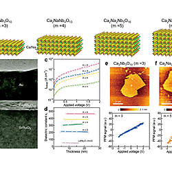 Solution-Processed 2D Materials and Their van der Waals Networks: Fabrication Strategies, Properties, and Scalable Device Applications (Figure 24)