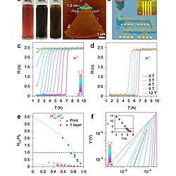 Solution-Processed 2D Materials and Their van der Waals Networks: Fabrication Strategies, Properties, and Scalable Device Applications (Figure 25)