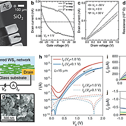 Solution-Processed 2D Materials and Their van der Waals Networks: Fabrication Strategies, Properties, and Scalable Device Applications (Figure 26)