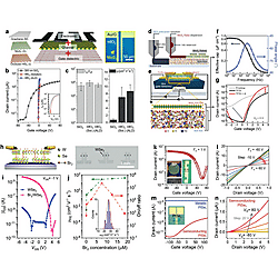Solution-Processed 2D Materials and Their van der Waals Networks: Fabrication Strategies, Properties, and Scalable Device Applications (Figure 27)