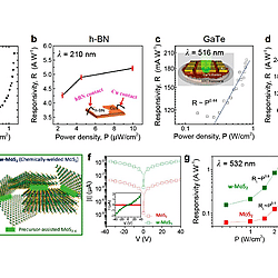 Solution-Processed 2D Materials and Their van der Waals Networks: Fabrication Strategies, Properties, and Scalable Device Applications (Figure 29)