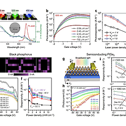 Solution-Processed 2D Materials and Their van der Waals Networks: Fabrication Strategies, Properties, and Scalable Device Applications (Figure 30)