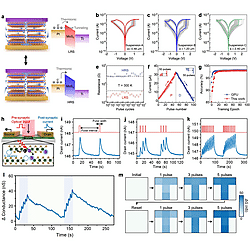 Solution-Processed 2D Materials and Their van der Waals Networks: Fabrication Strategies, Properties, and Scalable Device Applications (Figure 31)