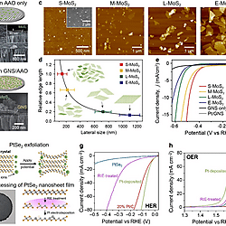 Solution-Processed 2D Materials and Their van der Waals Networks: Fabrication Strategies, Properties, and Scalable Device Applications (Figure 32)