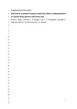 Supplementary file.docx