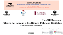 Las bibliotecas: pilares del acceso a los bienes públicos digitales