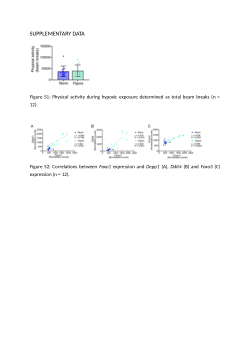 Six-hour hypoxia induced protein degradation in <i>M. gastrocnemius</i> of 24-day-old mice by activating FOXO1 and suppressing AKT-mTORC1.Supplementary Figures
