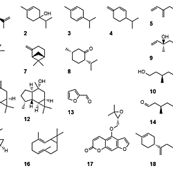 Finger lime volatile structures v2