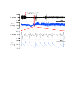 Supplemental <b>Figure S1</b>