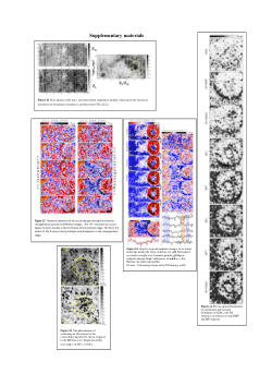 Preprint, Dataset, figures