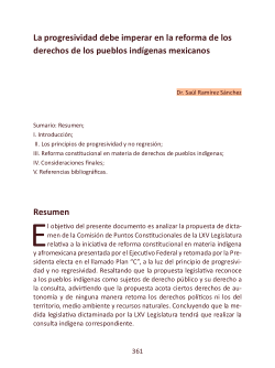 La progresividad debe imperar en la reforma de los derechos de los pueblos indígenas mexicanos