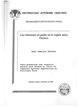 Las relaciones de poder en la región mixe, Oaxaca