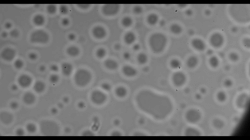 Aerosol Particle Trapped