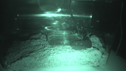 High-resolution version of the supplementary materials for: <b>"Sound production by vibration of the major cheliped in the ghost crab </b><b><i>Ocypode sinensis</i></b><b> </b><b>(Ocypodidae)" </b>by Ryutaro Goto, Fumio Takeshita, Atsushi Hirai, Ayaka Tsuchihashi, Rin Tanogashira, Luna Yamamori, Akira Asakura, and Michitaka Shimomura. <i>Plankton and Benthos Research</i>.