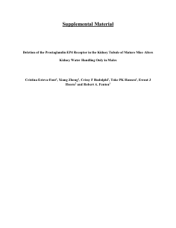 Supplementary material for: Deletion of the Prostaglandin EP4 Receptor in the Kidney Tubule of Mature Mice Alters Kidney Water Handling Only in Males