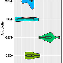 Supplementary Material 10