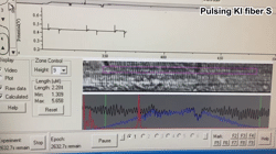 Supplemental material and source data