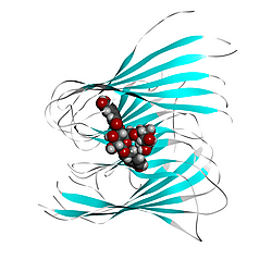 Original data for COMMSCHEM-25-0022