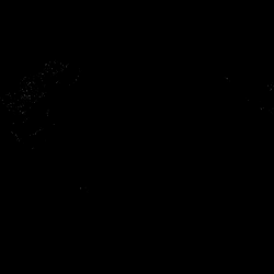 Regional Differences in the Impact of Climate Extremes on Future Global Rice Yield Variability